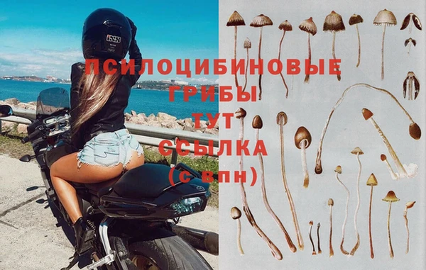 хмурый Зерноград