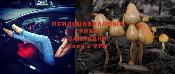 молекула духа Зеленодольск