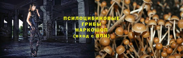 хмурый Зерноград