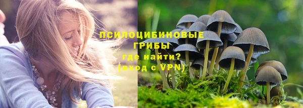 молекула духа Зеленодольск