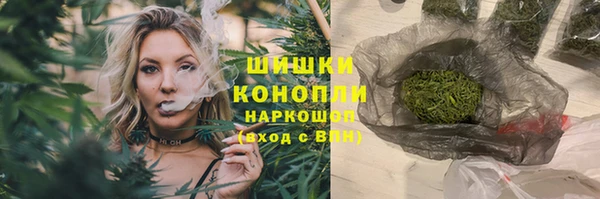 молекула духа Зеленодольск