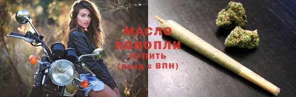 молекула духа Зеленодольск